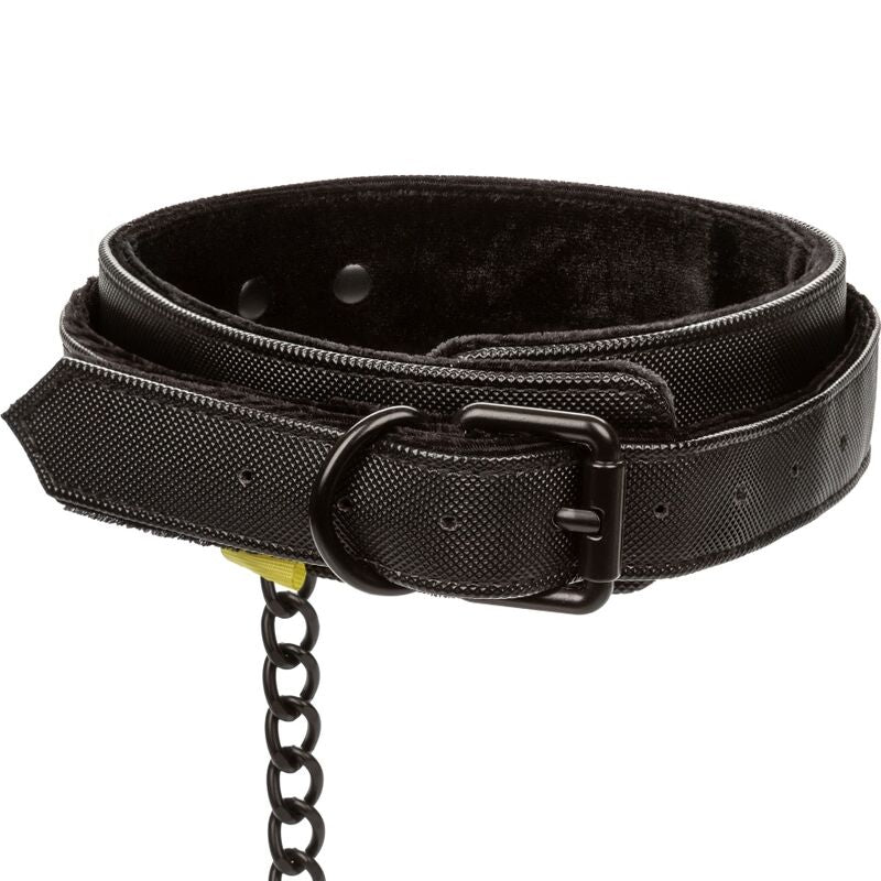 CALEXOTICS - BOUNDLESS COLLAR WITH LEASH