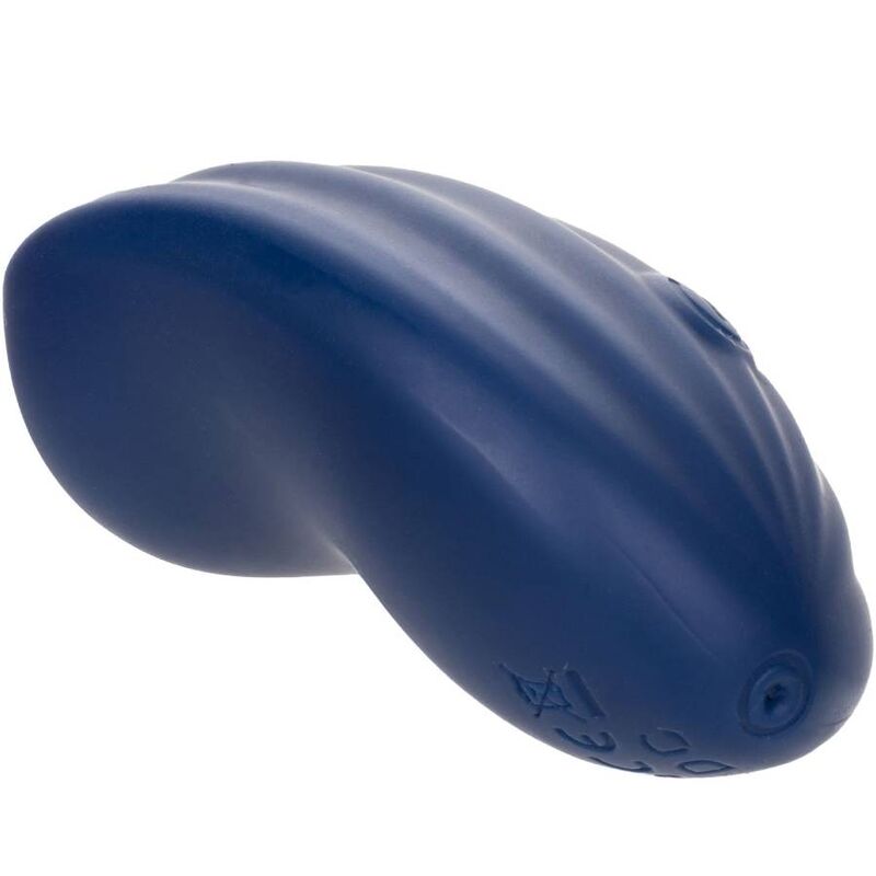 CALEXOTICS - CASHMERE VELUDO CURVE AZUL