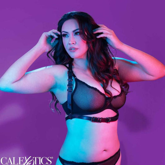 CALEXOTICS - EUPHORIA HATLER HARNESS WITH BUCKLE PLUS SIZE BLACK