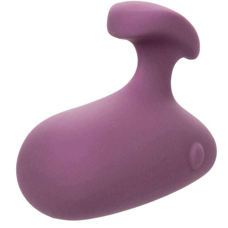 CALEXOTICS - MOD TOUCH PURPLE STIMULATOR